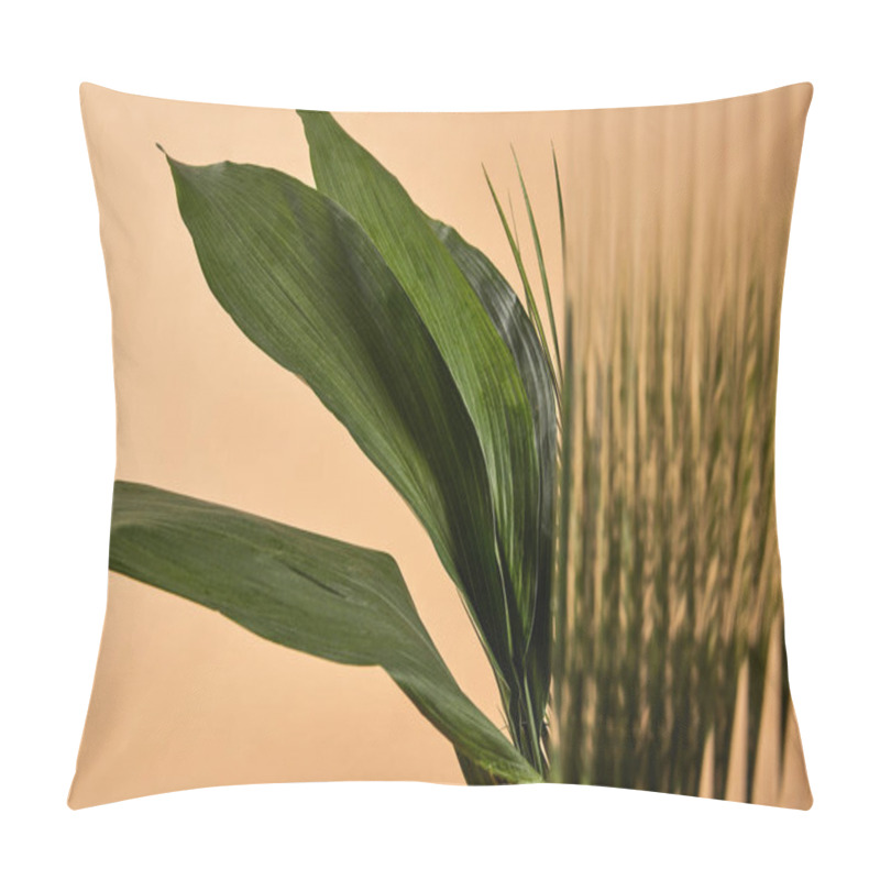 Personality  Selective Focus Of Big Green Leaves Isolated On Beige Behind Reed Glass Pillow Covers