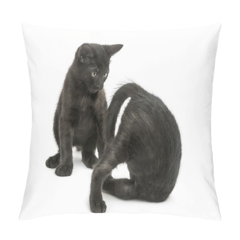 Personality  Two Black Kittens Playing, 2 Months Old, Isolated On White Pillow Covers