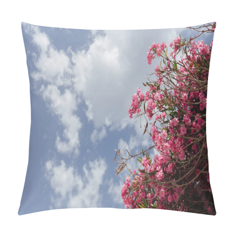 Personality  Bottom View Of Pink Blooming Plant With Cloudy Sky At Background  Pillow Covers