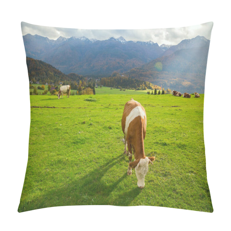 Personality  Cows Grazing In Alpine Meadows Pillow Covers