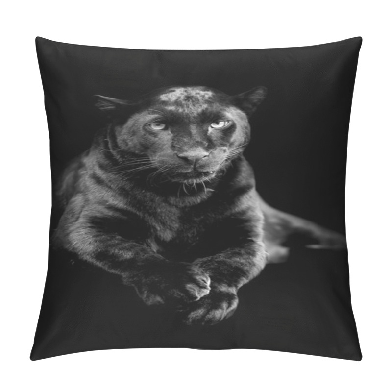 Personality  Black Leopard On Dark Background Pillow Covers