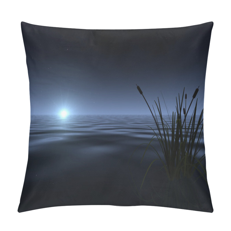 Personality  Moonrise At The Lake Pillow Covers