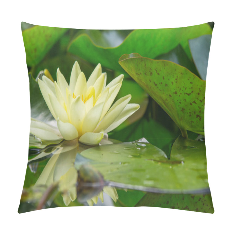 Personality  Beautiful Water Plant Pillow Covers