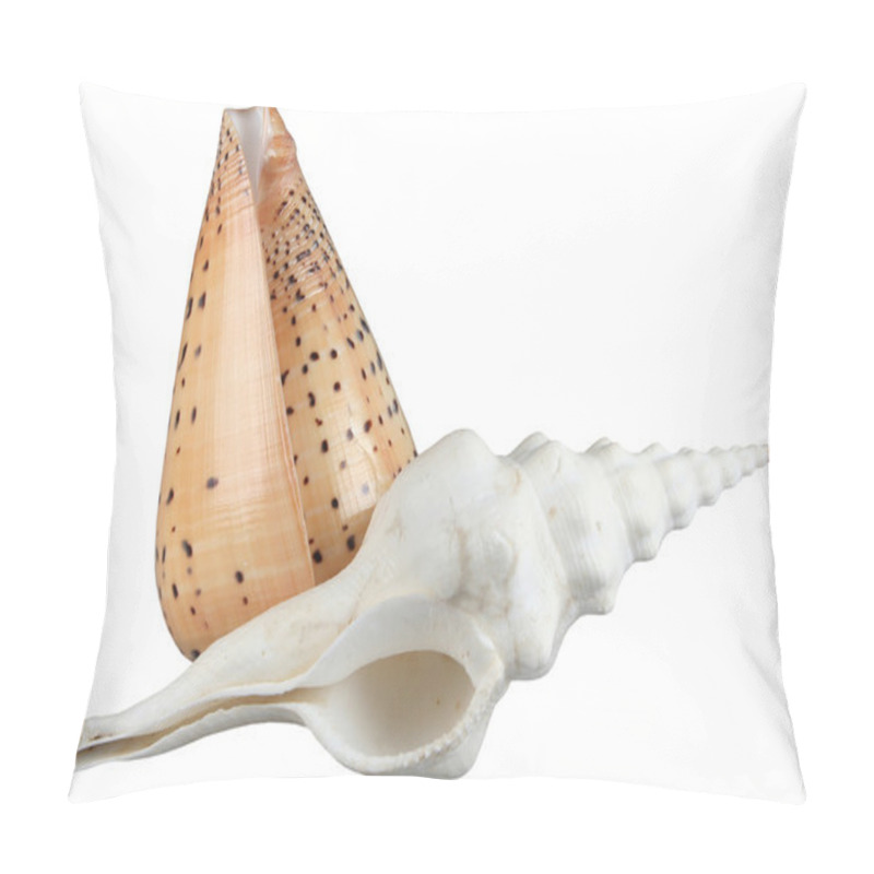 Personality  Two Shells Pillow Covers