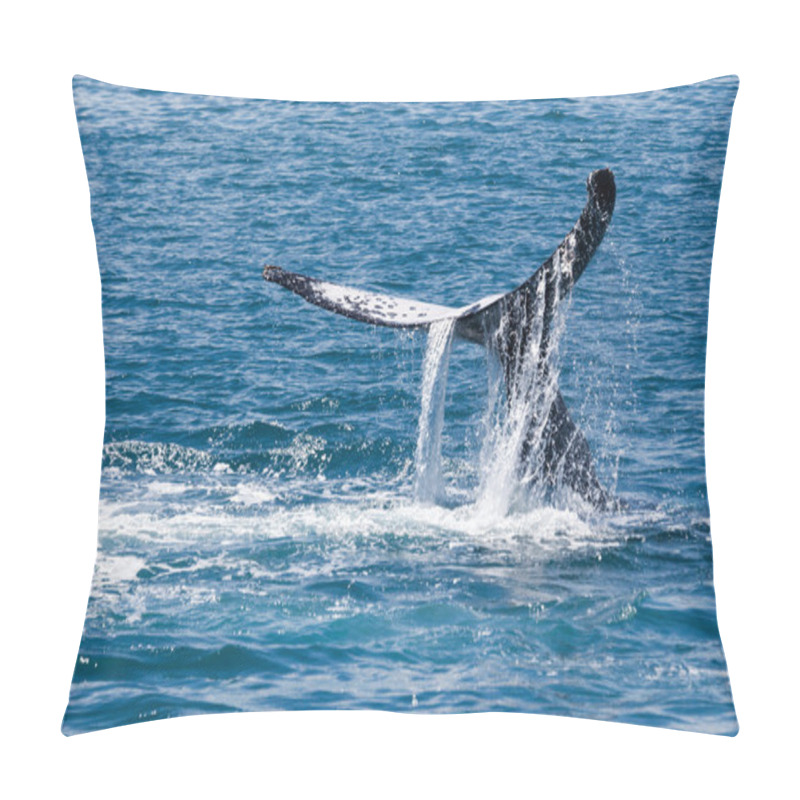 Personality  Whale Hervey Bay Australia Pillow Covers