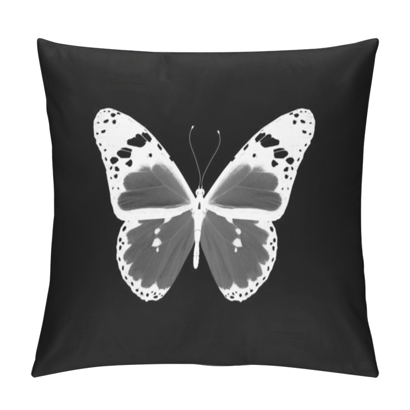 Personality  Night Butterfly, Isolated On Black Pillow Covers