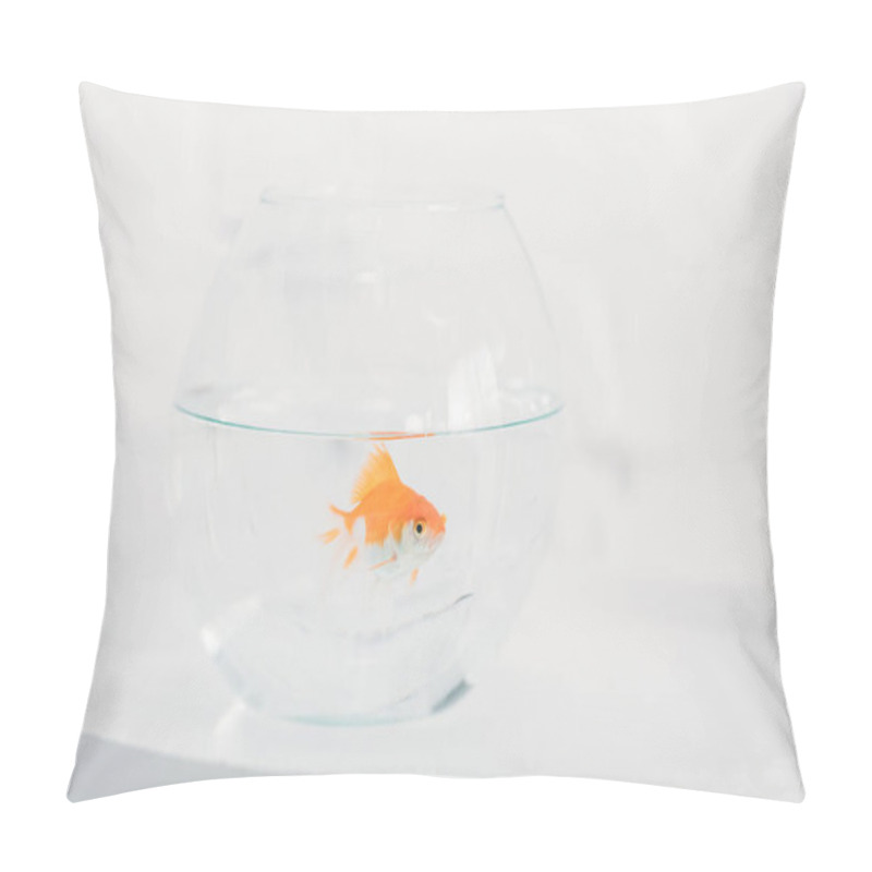 Personality  Bright Goldfish In Aquarium With Clear Transparent Water On White Background Pillow Covers