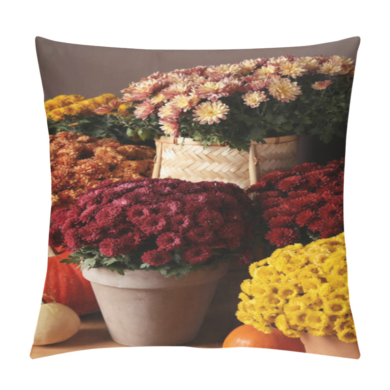 Personality  Beautiful Fresh Chrysanthemum Flowers And Pumpkins Near Brown Wall Pillow Covers