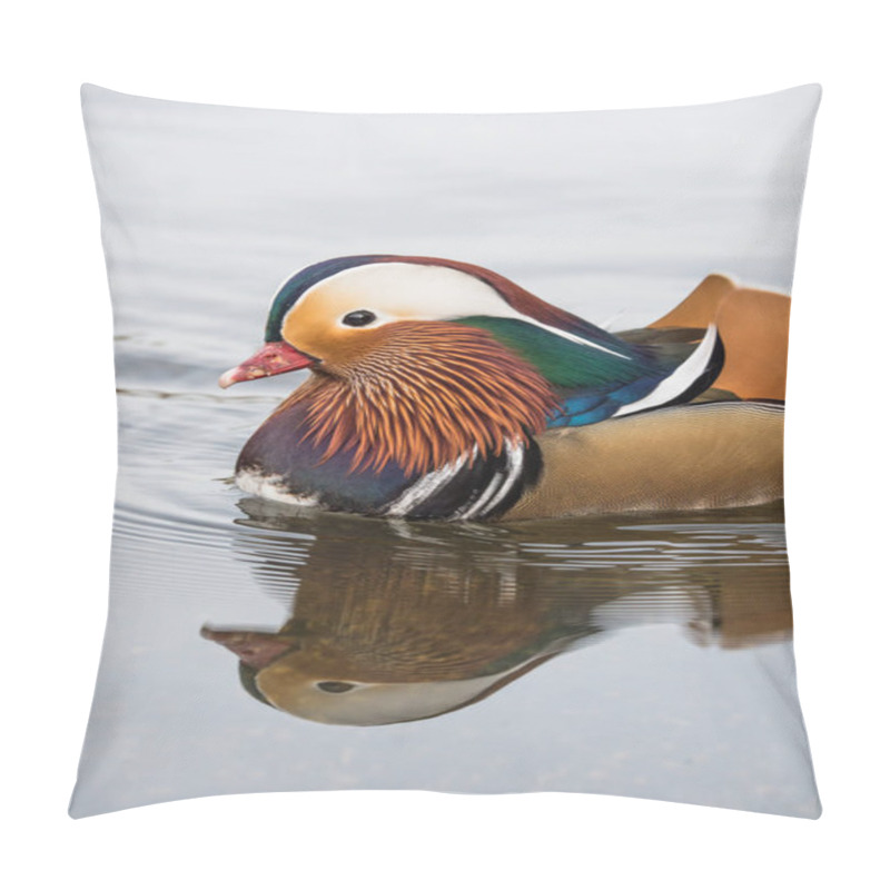 Personality  male mandarin duck pillow covers