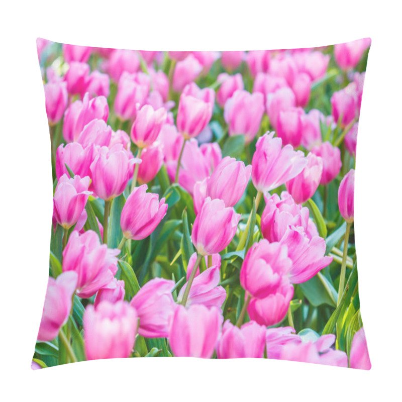 Personality  Tulips Flowers Blooming Pillow Covers