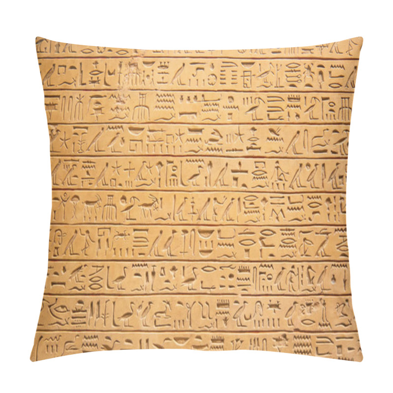 Personality  Egyptian Hieroglyphs On The Wall Pillow Covers