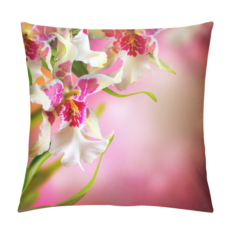 Personality  Orchid Flowers Design Pillow Covers