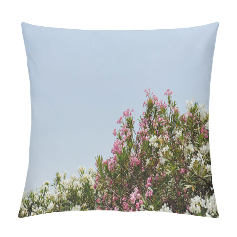 Personality  Selective Focus Of Plants With White And Pink Flowers And Clear Sky At Background  Pillow Covers