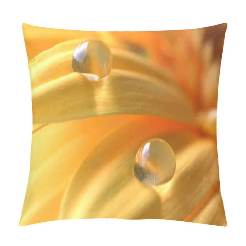 Personality  Gerbera Flower Petals, Flora Pillow Covers