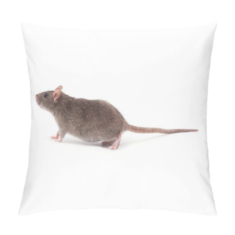 Personality  Cute Grey Rat   Pillow Covers