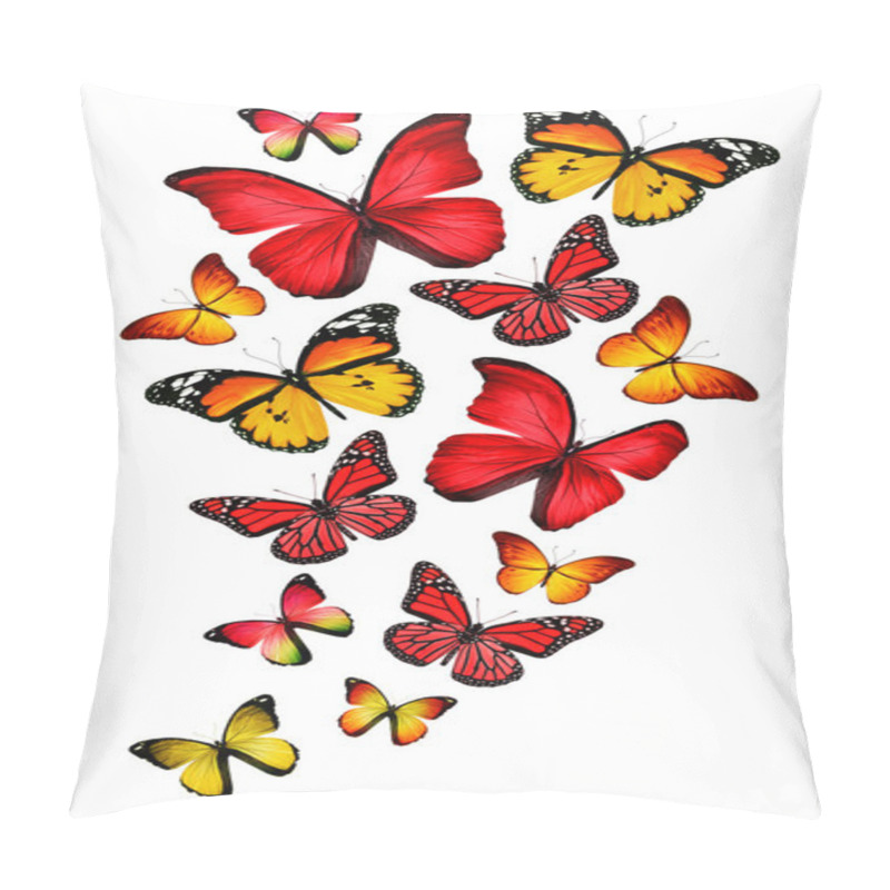 Personality  Many Different Butterflies, Isolated On White Background Pillow Covers