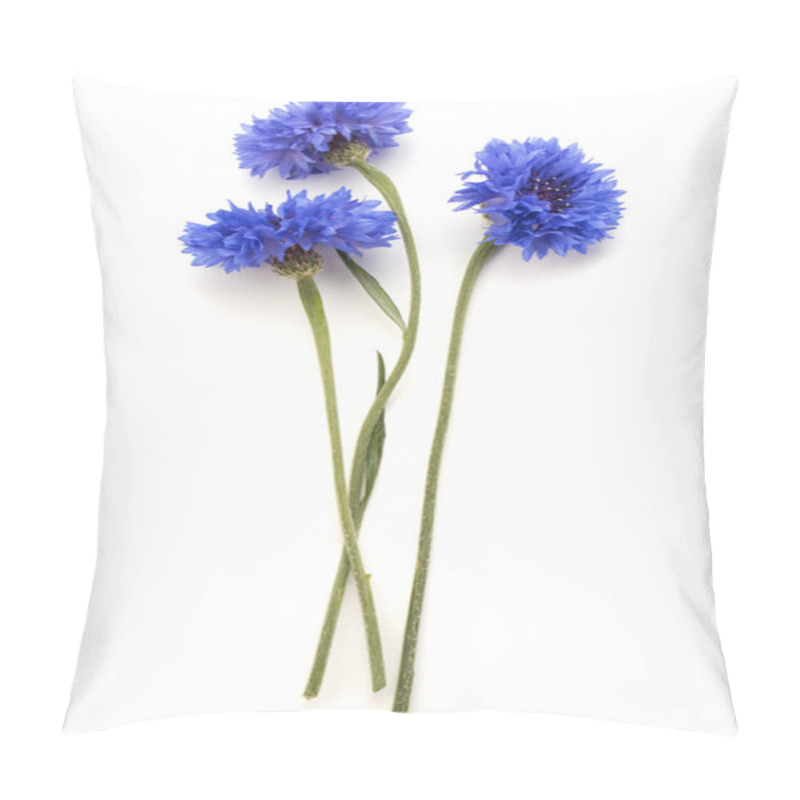 Personality  Blue Cornflower Herb Pillow Covers