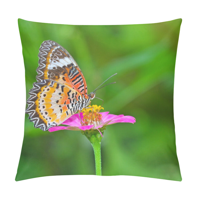 Personality  Closeup Butterfly On Flower Pillow Covers