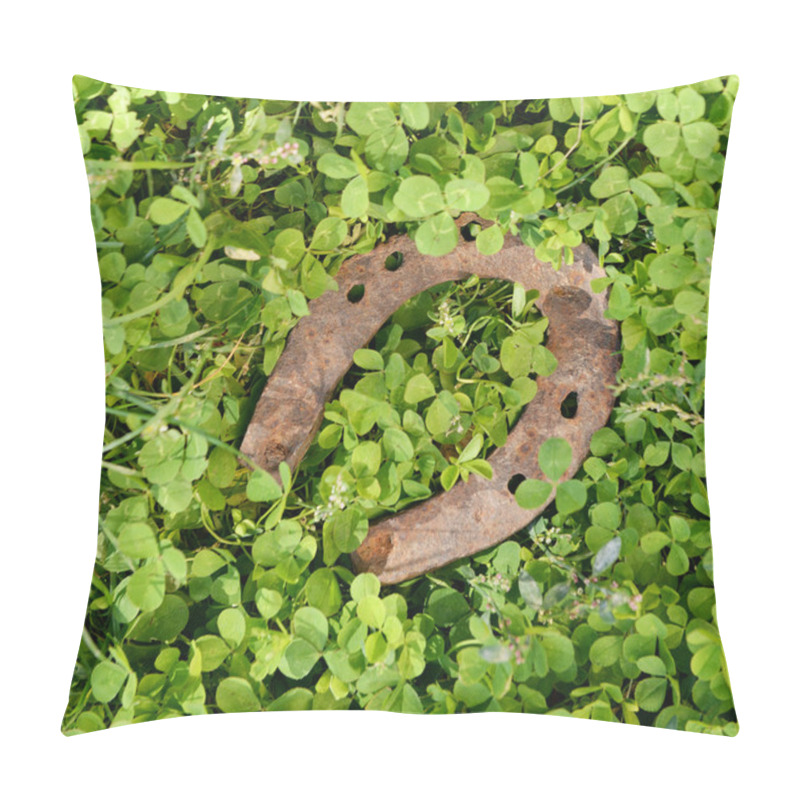 Personality  Old Horse Shoe Outdoors Pillow Covers