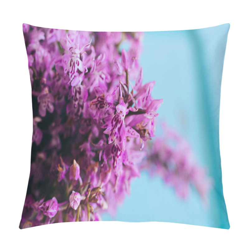 Personality  Violet Flowers Of Dactylorhiza Maculata On A Wooden Blue Background, Orchidaceae, Orchid Pillow Covers