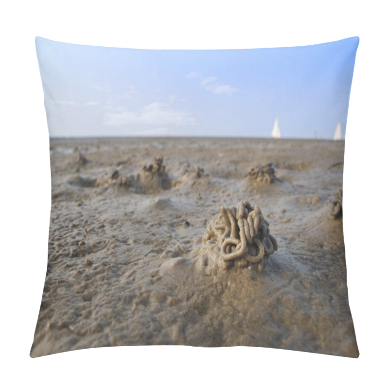 Personality  Close-up Close-up Of Several Lumpworm Piles At Low Tide On The Beach Of Bensersiel (ostfriesland) Pillow Covers