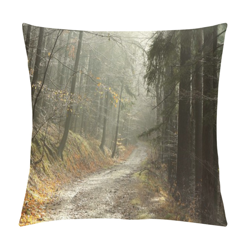 Personality  Misty Forest Trail Pillow Covers