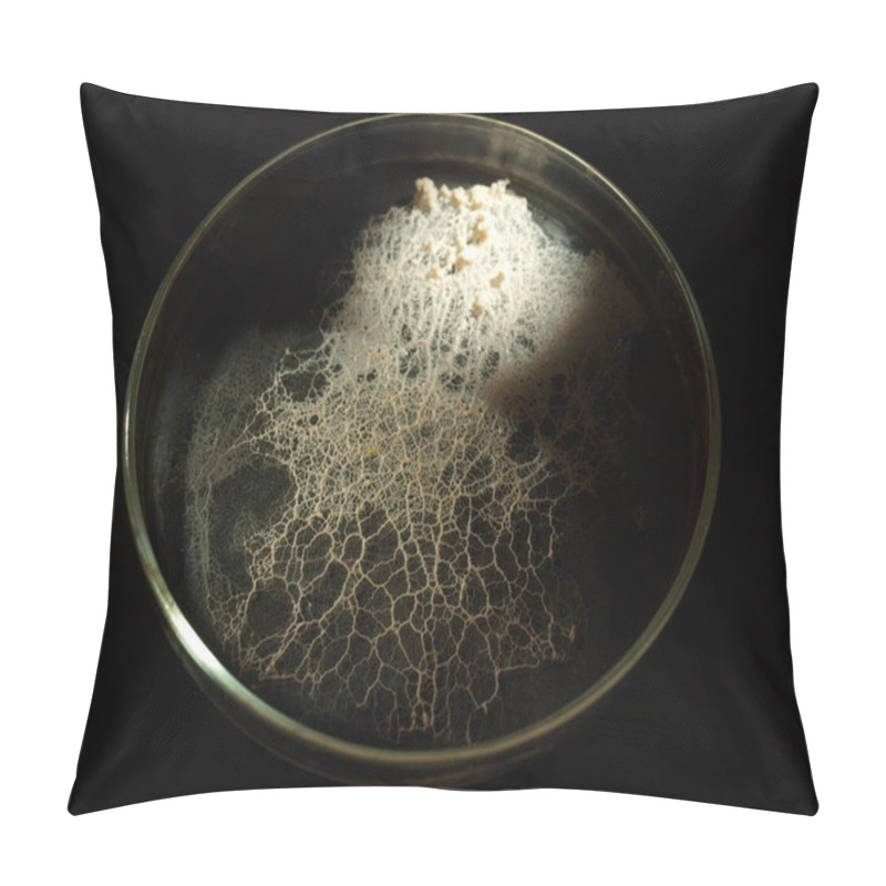 Personality  A Moving Plasmodium Of A Slime Mould On A Petri Dish Pillow Covers