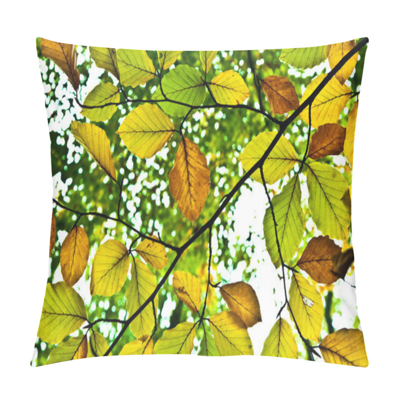 Personality  Background Group Autumn Orange Leaves Pillow Covers