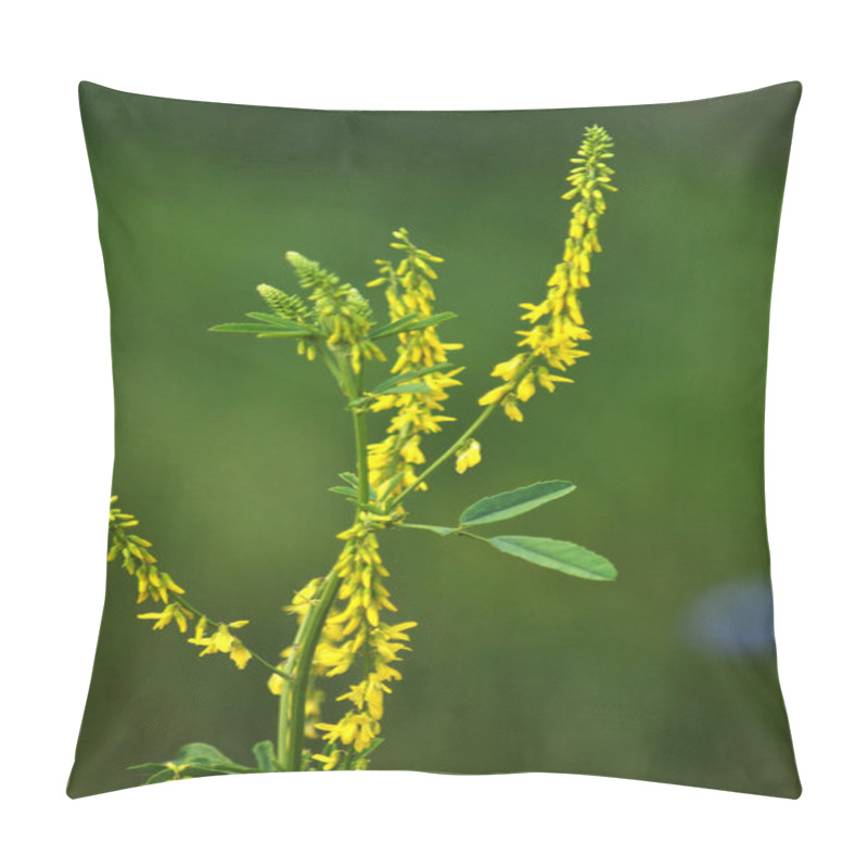 Personality  In The Wild Bloom Melilotus Officinalis Pillow Covers