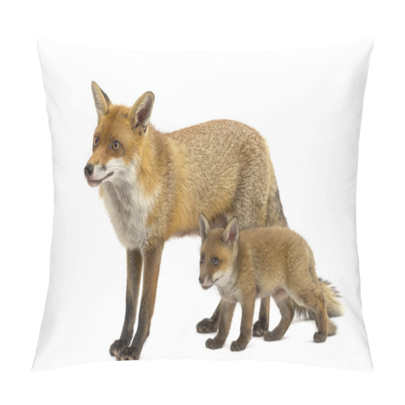 Personality  Mother Fox With Her Cub (7 Weeks Old) In Front Of A White Backgr Pillow Covers