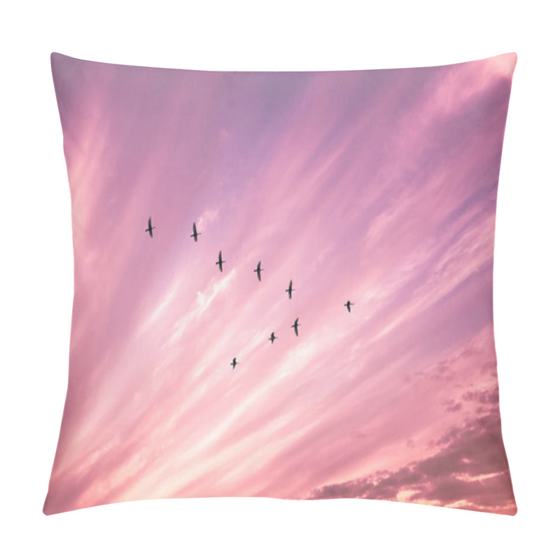 Personality  Migratory Birds Flying In The Shape Of V On The Cloudy Sunset Sky. Sky And Clouds With Effect Of Pastel Colored.  Pillow Covers