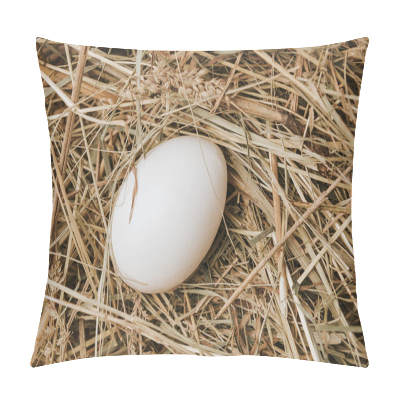 Personality  Unprocessed White Egg Laying On Straw   Pillow Covers