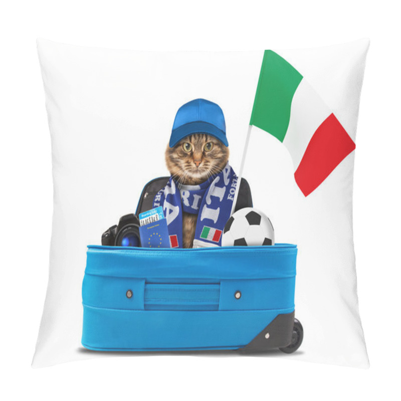 Personality  Funny Cat Is Wearing A Cap And Football Scarf  Pillow Covers