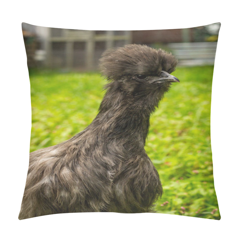 Personality  Blue Silkie Chicken Pillow Covers