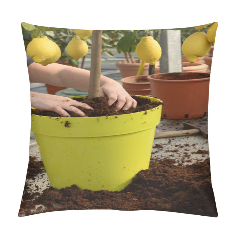 Personality  Gardener Potting A Plant Pillow Covers