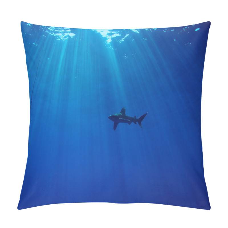 Personality  Oceanic Whitetip Shark Pillow Covers