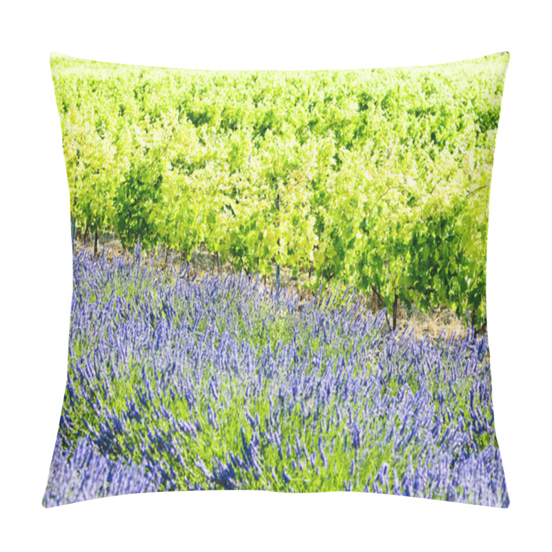 Personality  Lavender Field With Vineyard, Drome Department, Rhone-Alpes, Fra Pillow Covers