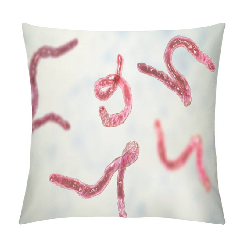 Personality  Parasitic Hookworm Ancylosoma, 3D Illustration. Ancylostoma Duodenale Can Infect Humans, Dogs And Cats, Its Head Has Several Tooth-like Structures Pillow Covers