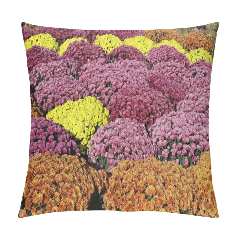 Personality  Field Of Chrysanthemums Pillow Covers