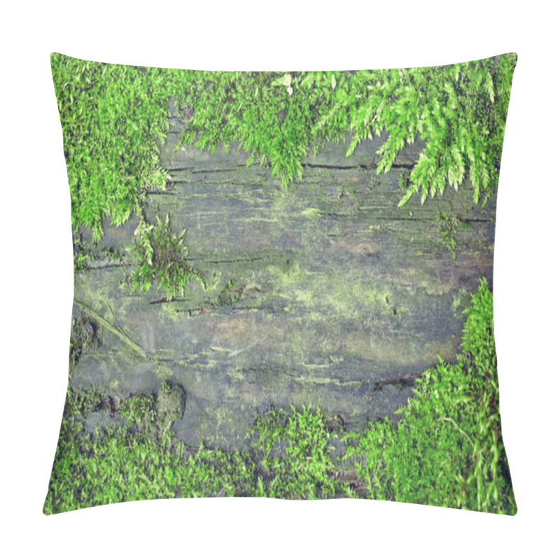 Personality  Old Dirty Wooden Texture In Moss Frame Pillow Covers