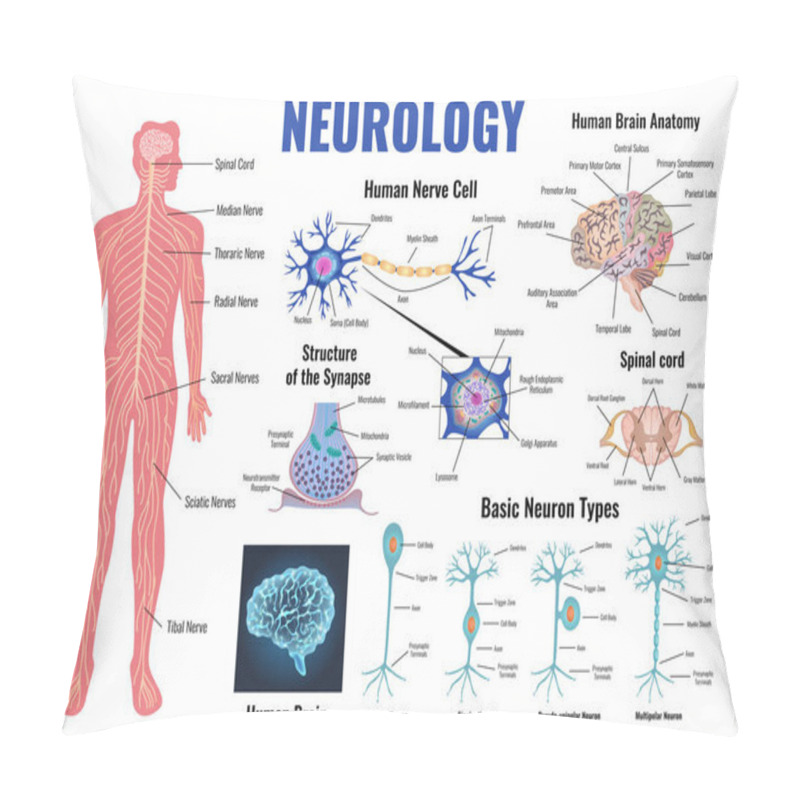 Personality  Neurology And Human Brain Set Pillow Covers