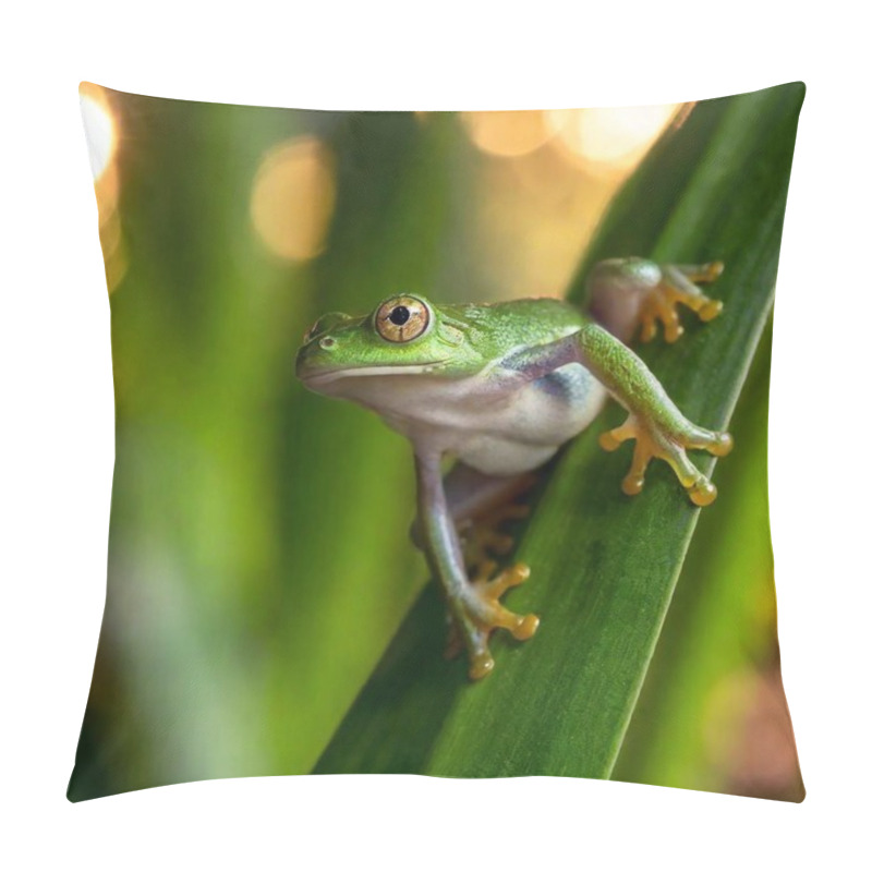 Personality  Macro Shot Of A Green Frog In A Misty Rainforest Setting Pillow Covers