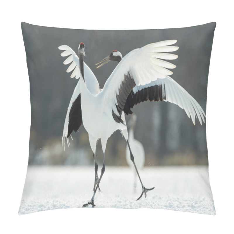 Personality  The Ritual Marriage Dance Of Cranes. The Red-crowned Cranes. Scientific Name: Grus Japonensis, Also Called The Japanese Crane Or Manchurian Crane, Is A Large East Asian Crane. Pillow Covers