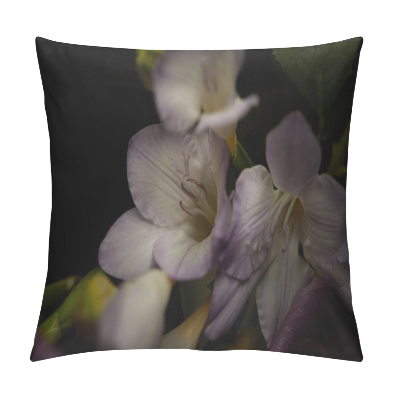 Personality  Close Up View Of Freesia Flowers Isolated On Black Pillow Covers