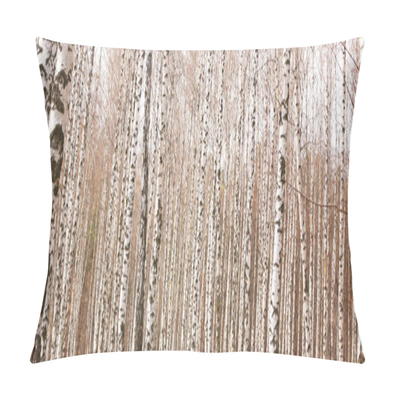 Personality  White Birch Trees In A Birch Grove Pillow Covers