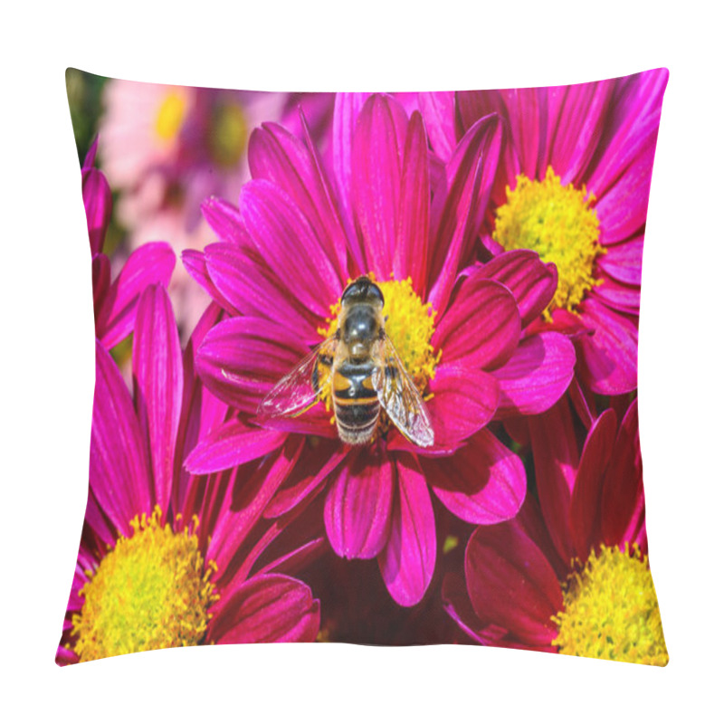 Personality  Batman Hoverfly - Myathropa Florea,  Flower Fly Hoverfly Collects Nectar On Autumn Flowers Chrysanthemum  Pillow Covers