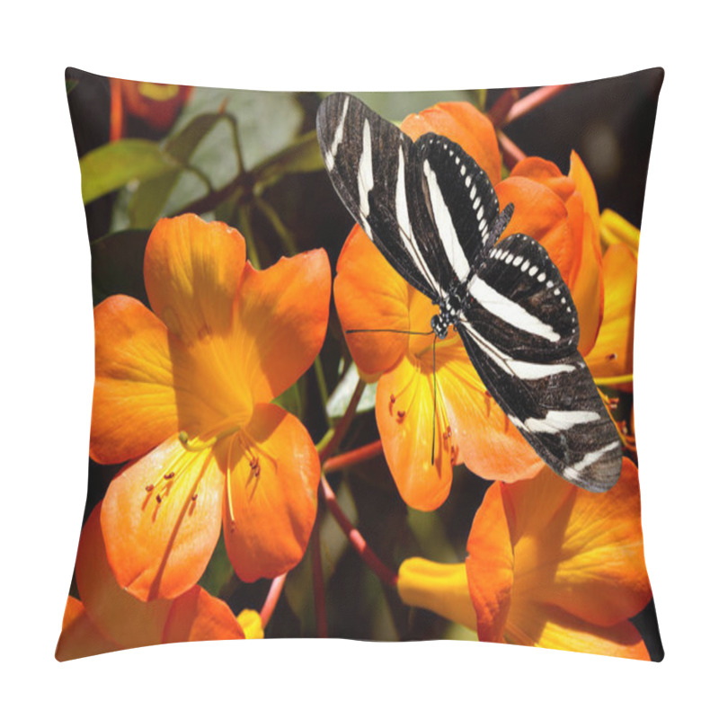 Personality  Zebra Longwing Butterfly Latin Name Heliconius Charitonius On Tropical Rhododendron Simbu Sunset Flowers Pillow Covers