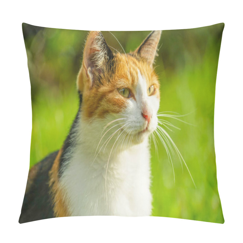 Personality  Tortoiseshell Cat Nestled In Prairie Pillow Covers