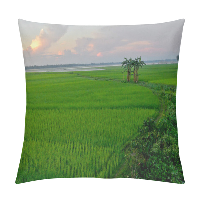 Personality  A View Of Paddy Field At Doulatpur Village In Jamalpur District, Bangladesh, On October 8, 2020 Pillow Covers