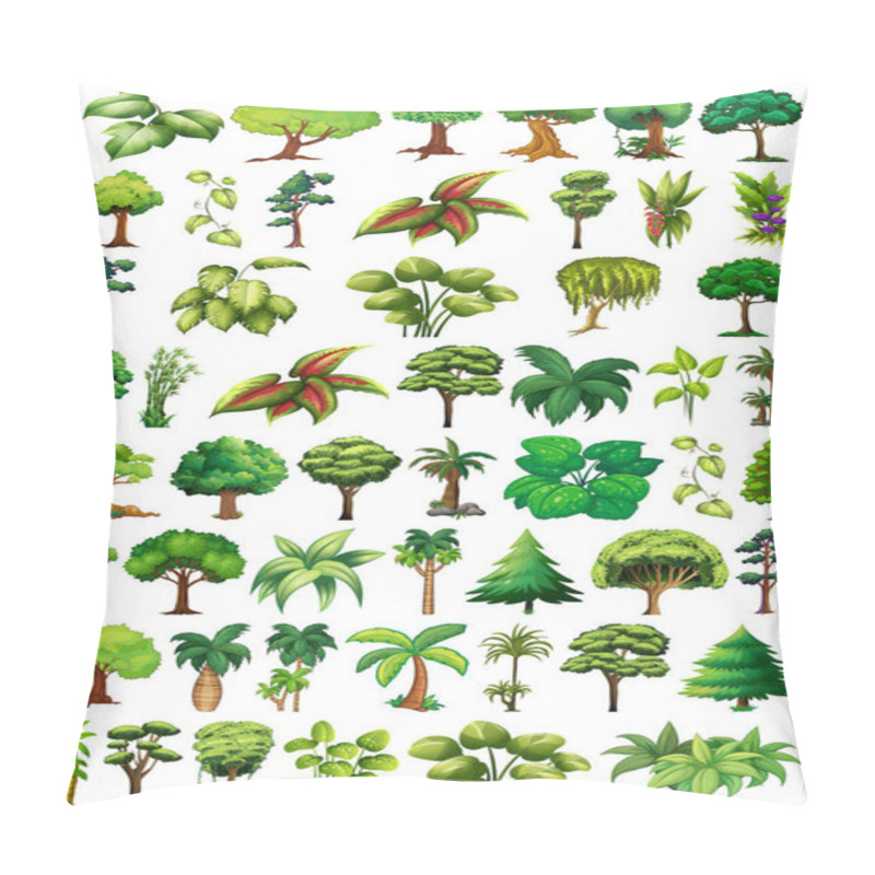 Personality  Set Of Variety Plants And Trees Illustration Pillow Covers